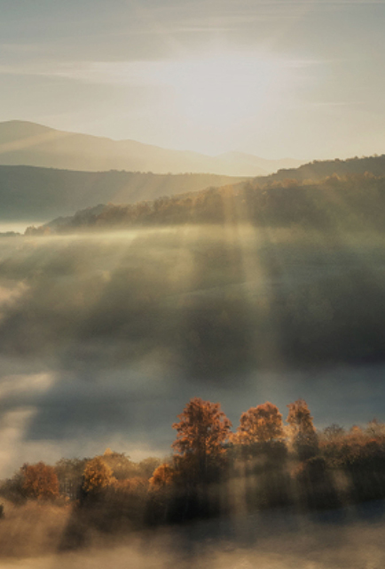 尊龙官方网站启源